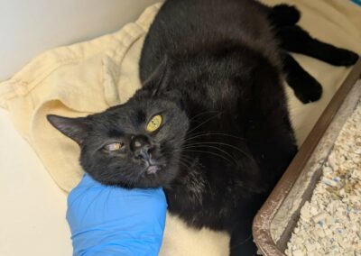 Kina – Adoptée en avril 2026