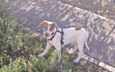 Noura – Visible en famille d&rsquo;accueil