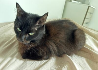 Opale – Visible en famille d&rsquo;accueil