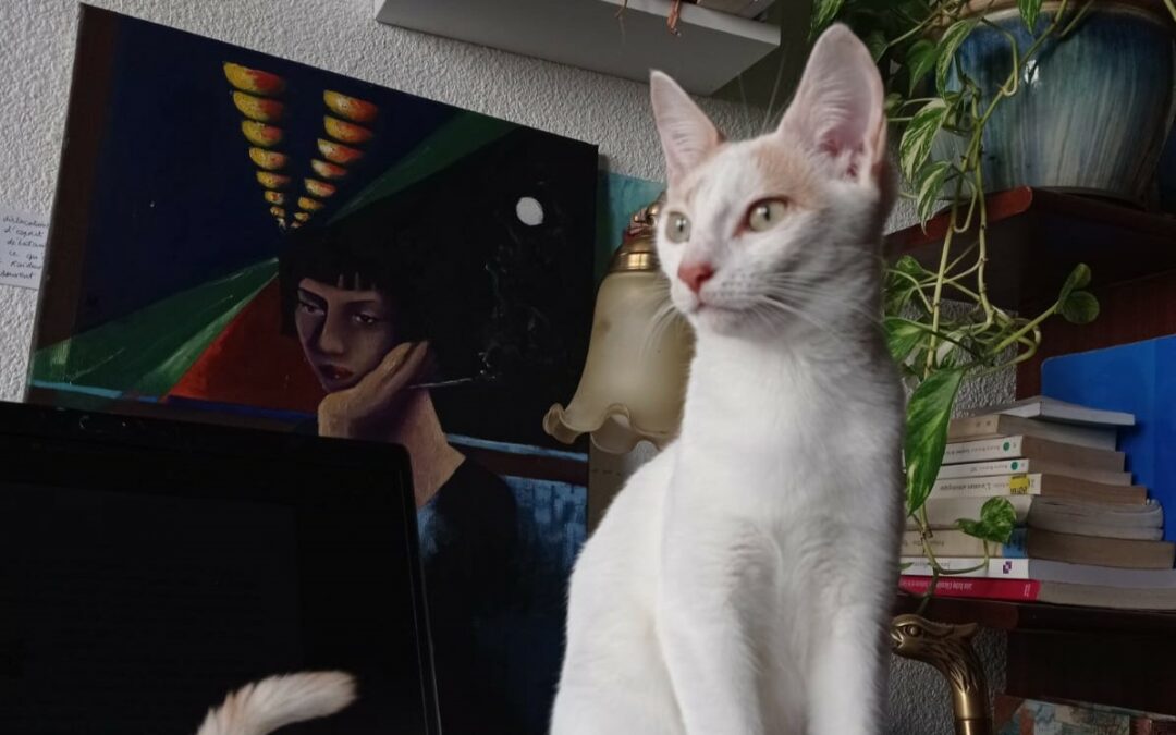 Raia – Visible en famille d&rsquo;accueil