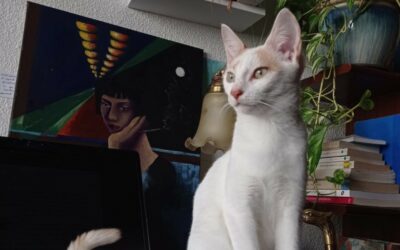 Raia – Visible en famille d&rsquo;accueil