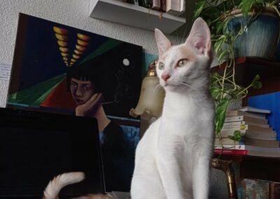 Raia – Visible en famille d&rsquo;accueil