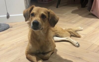 Saga – Visible en famille d&rsquo;accueil