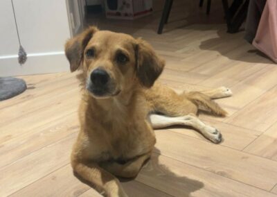 Saga – Visible en famille d&rsquo;accueil