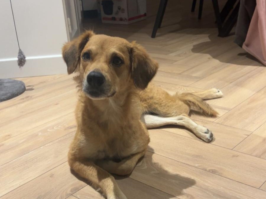 Saga – Visible en famille d&rsquo;accueil