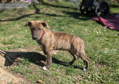 Suzette – Réservée