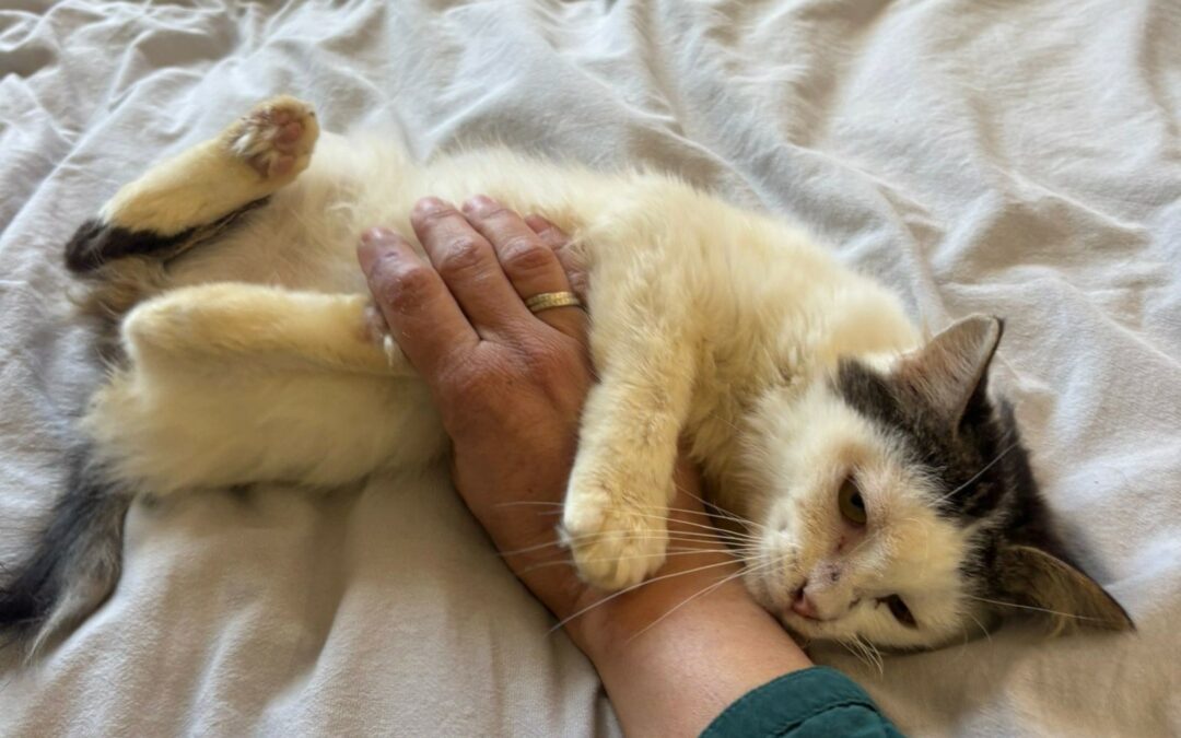 Tikao – Visible en famille d&rsquo;accueil