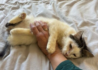 Tikao – Visible en famille d&rsquo;accueil