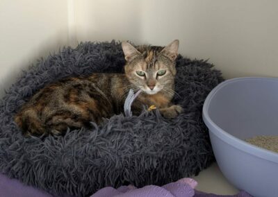 Pokita – Visible en famille d’accueil