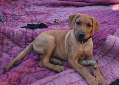 Yellow – Réservé