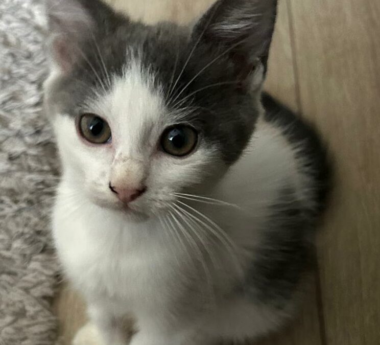 Item – visible en famille d&rsquo;accueil