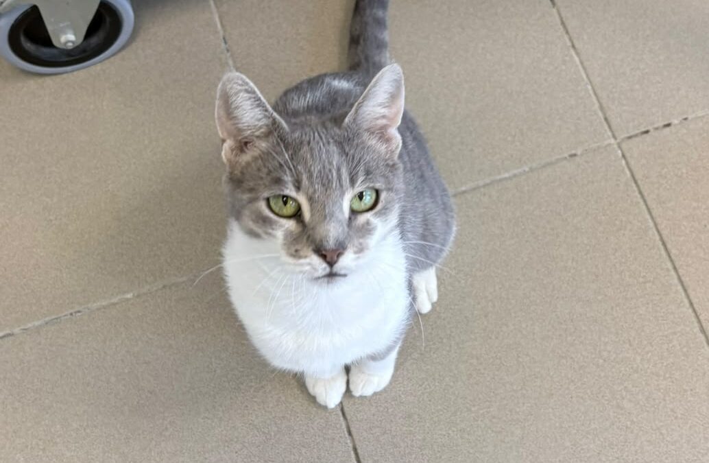 MARTA