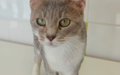 MYRA