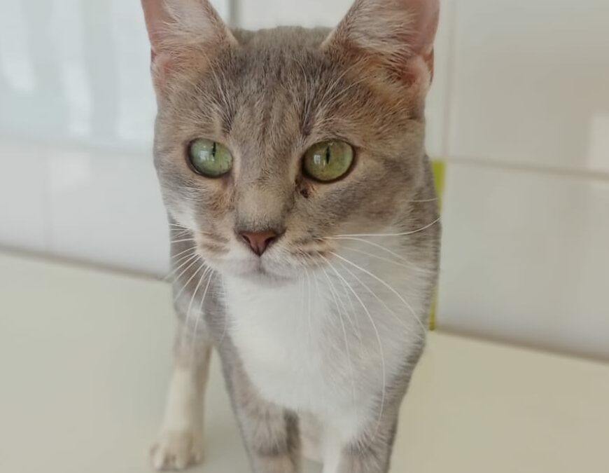 MYRA