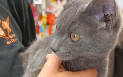 SMOKY