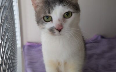 MIKO