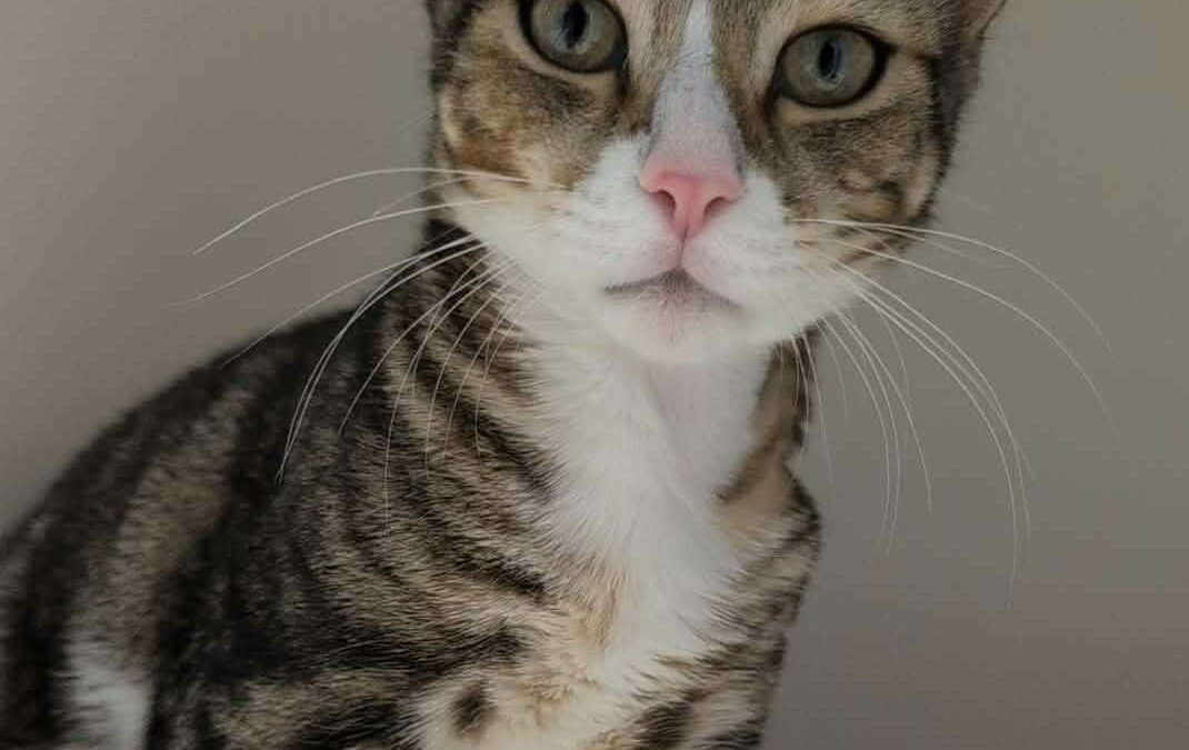 ZAZOU (Réservé)